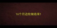 16个月边牧做绝育