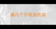 猫几个月驱虫疫苗