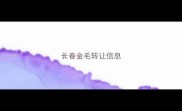 长春金毛转让信息