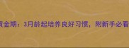 猫咪教育黄金期3月龄起培养良好习惯附新手必看训练指南