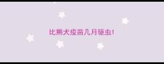比熊犬疫苗几月驱虫