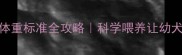 6个月哈士奇体重标准全攻略科学喂养让幼犬健康发育