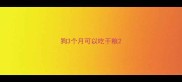 狗3个月可以吃干粮