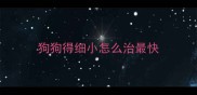 狗狗得细小怎么治最快