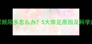 小泰迪尿频尿多怎么办5大常见原因及科学应对指南