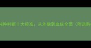 哈士奇纯种判断十大标准从外貌到血统全面附选购指南