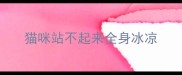 猫咪站不起来全身冰凉