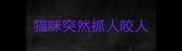 猫咪突然抓人咬人