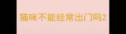猫咪不能经常出门吗