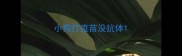 小狗打疫苗没抗体