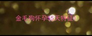 金毛狗怀孕55天特征