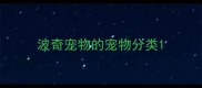 波奇宠物的宠物分类