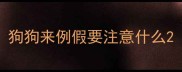 狗狗来例假要注意什么