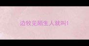 边牧见陌生人就叫