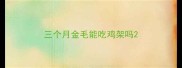 三个月金毛能吃鸡架吗
