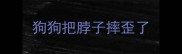 狗狗把脖子摔歪了