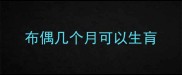 布偶几个月可以生肓