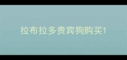 拉布拉多贵宾狗购买