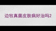 边牧真菌皮肤病好治吗