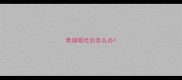 泰迪呕吐后怎么办