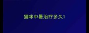 猫咪中暑治疗多久