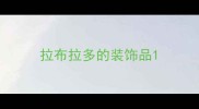 拉布拉多的装饰品