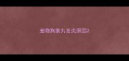 宠物狗睾丸发炎原因