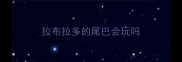 拉布拉多的尾巴会玩吗