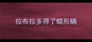 拉布拉多得了蠕形螨