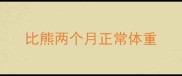 比熊两个月正常体重