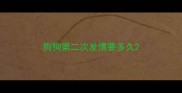 狗狗第二次发情要多久