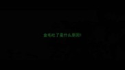 金毛吐了是什么原因