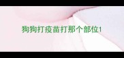 狗狗打疫苗打那个部位
