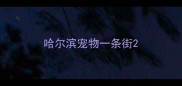 哈尔滨宠物一条街