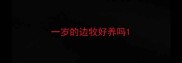 一岁的边牧好养吗