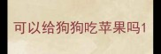 可以给狗狗吃苹果吗