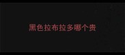 黑色拉布拉多哪个贵