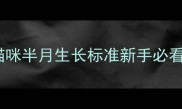 幼猫15天发育全记录猫咪半月生长标准新手必看发育指标幼猫喂养指南