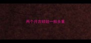 两个月吉娃娃一般多重