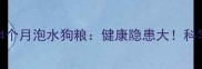 边境牧羊犬幼犬4个月泡水狗粮健康隐患大科学喂养指南来了