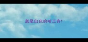 脸是白色的哈士奇