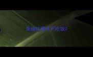 泰迪吐黄水不吃饭