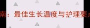 金毛幼犬科学饲养指南最佳生长温度与护理要点附详细养护表格
