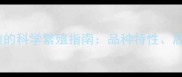 棕红泰迪配灰色泰迪的科学繁殖指南品种特性后代特征与饲养建议