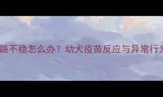 狗狗疫苗后走路不稳怎么办幼犬疫苗反应与异常行为应对全指南