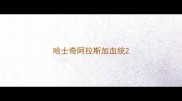 哈士奇阿拉斯加血统