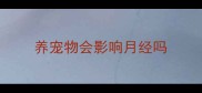 养宠物会影响月经吗