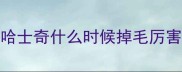 哈士奇什么时候掉毛厉害