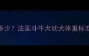 5个月大的法国斗牛犬体重多少法国斗牛犬幼犬体重标准及饲养建议附成长表