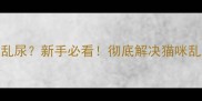 九个月大猫咪突然乱尿新手必看彻底解决猫咪乱尿的5大关键步骤